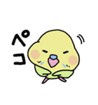 セキセイインコのフクチョウ（個別スタンプ：8）