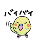 セキセイインコのフクチョウ（個別スタンプ：9）