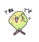セキセイインコのフクチョウ（個別スタンプ：12）