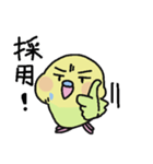 セキセイインコのフクチョウ（個別スタンプ：13）