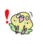 セキセイインコのフクチョウ（個別スタンプ：19）