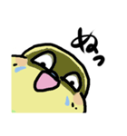 セキセイインコのフクチョウ（個別スタンプ：24）
