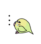 セキセイインコのフクチョウ（個別スタンプ：28）