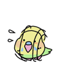 セキセイインコのフクチョウ（個別スタンプ：33）