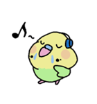 セキセイインコのフクチョウ（個別スタンプ：36）
