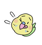 セキセイインコのフクチョウ（個別スタンプ：37）