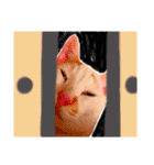 日常で使えるアニマルシリーズ（猫編）（個別スタンプ：38）