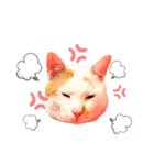 日常で使えるアニマルシリーズ（猫編）（個別スタンプ：40）
