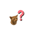 こてふみの日常（個別スタンプ：9）