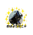 黒猫ハルの日常1（個別スタンプ：5）