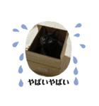 黒猫ハルの日常1（個別スタンプ：6）