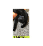 黒猫ハルの日常1（個別スタンプ：8）
