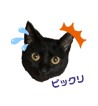 黒猫ハルの日常1（個別スタンプ：12）