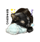 黒猫ハルの日常1（個別スタンプ：14）