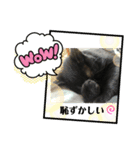 黒猫ハルの日常1（個別スタンプ：16）