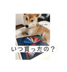 あずきスタンプ なな！（個別スタンプ：13）