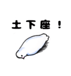 優しいトリさん。（個別スタンプ：7）
