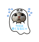 もっちりもちもちもちスタンプ（個別スタンプ：1）