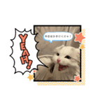 もっちりもちもちもちスタンプ（個別スタンプ：6）