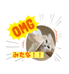 毒舌タロちゃん（個別スタンプ：8）