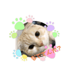 毒舌タロちゃん（個別スタンプ：15）