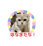 毒舌タロちゃん（個別スタンプ：16）