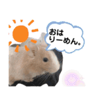 レミーのかわいいデグースタンプ（個別スタンプ：2）