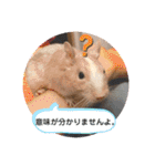 レミーのかわいいデグースタンプ（個別スタンプ：29）