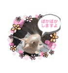 レミーのかわいいデグースタンプ（個別スタンプ：35）
