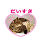 フェレットのかじきくん（個別スタンプ：7）