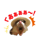 フェレットのかじきくん（個別スタンプ：27）