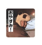 4545＆Friends（個別スタンプ：13）
