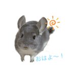 むぅたんといっしょ♡ʾʾ（個別スタンプ：1）