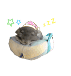むぅたんといっしょ♡ʾʾ（個別スタンプ：3）