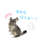 むぅたんといっしょ♡ʾʾ（個別スタンプ：7）