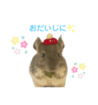 むぅたんといっしょ♡ʾʾ（個別スタンプ：13）