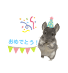 むぅたんといっしょ♡ʾʾ（個別スタンプ：14）