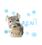 むぅたんといっしょ♡ʾʾ（個別スタンプ：15）