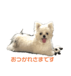 ポメマルももの日常（個別スタンプ：1）