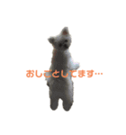 ポメマルももの日常（個別スタンプ：13）