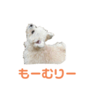 ポメマルももの日常（個別スタンプ：26）