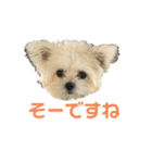 ポメマルももの日常（個別スタンプ：27）