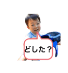 わたるスタンプ2021ver（個別スタンプ：30）