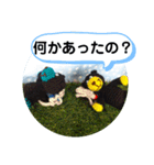 登山！ベアーズ（個別スタンプ：6）