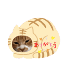 ドロちゃんでござる。（個別スタンプ：2）