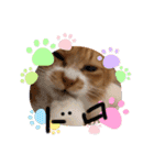 ドロちゃんでござる。（個別スタンプ：3）