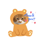 ドロちゃんでござる。（個別スタンプ：12）