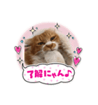 ドロちゃんでござる。（個別スタンプ：13）