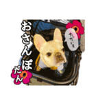 とふぁちゃんスタンプ（個別スタンプ：2）