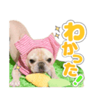 とふぁちゃんスタンプ（個別スタンプ：4）